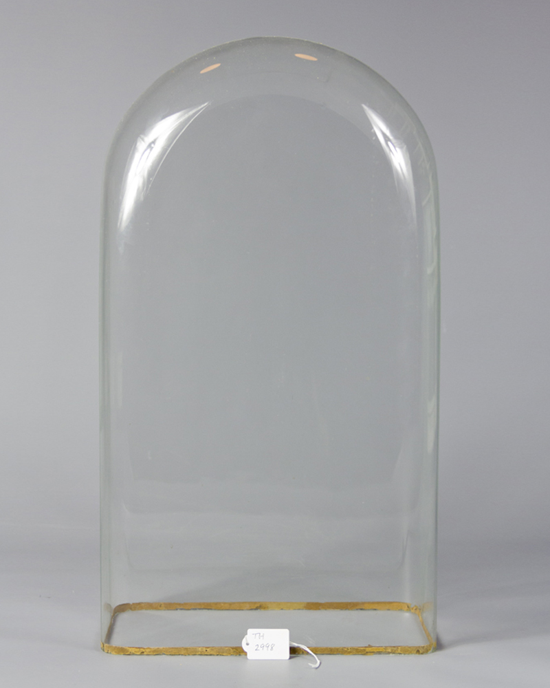 Taxidermy Square Sided Glass Dome