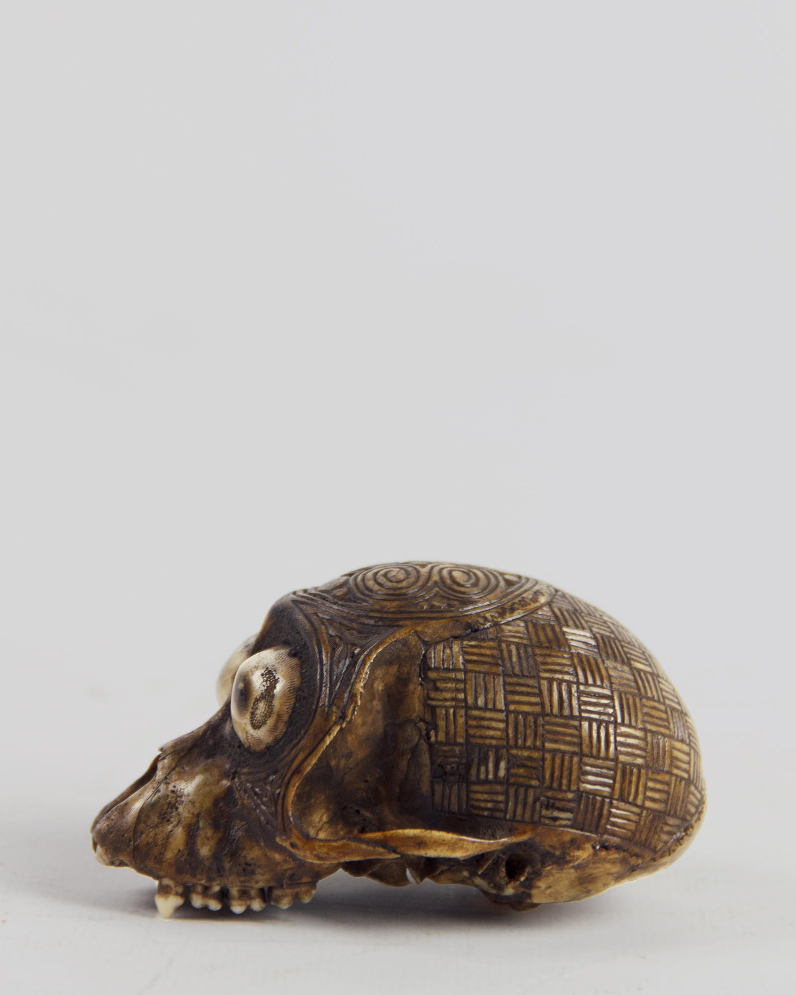 Taxidermy Tribal monkey skull