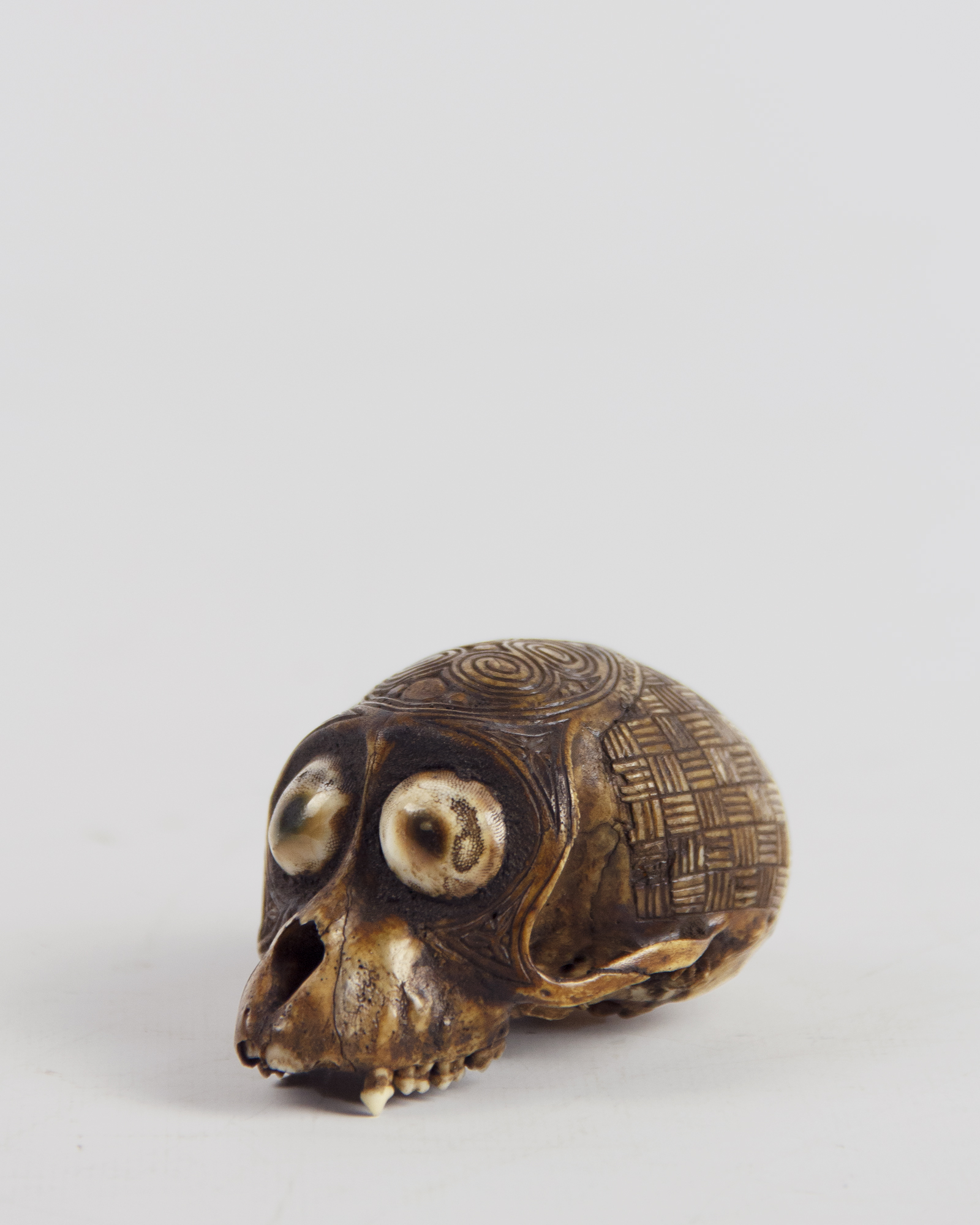 Taxidermy Tribal monkey skull