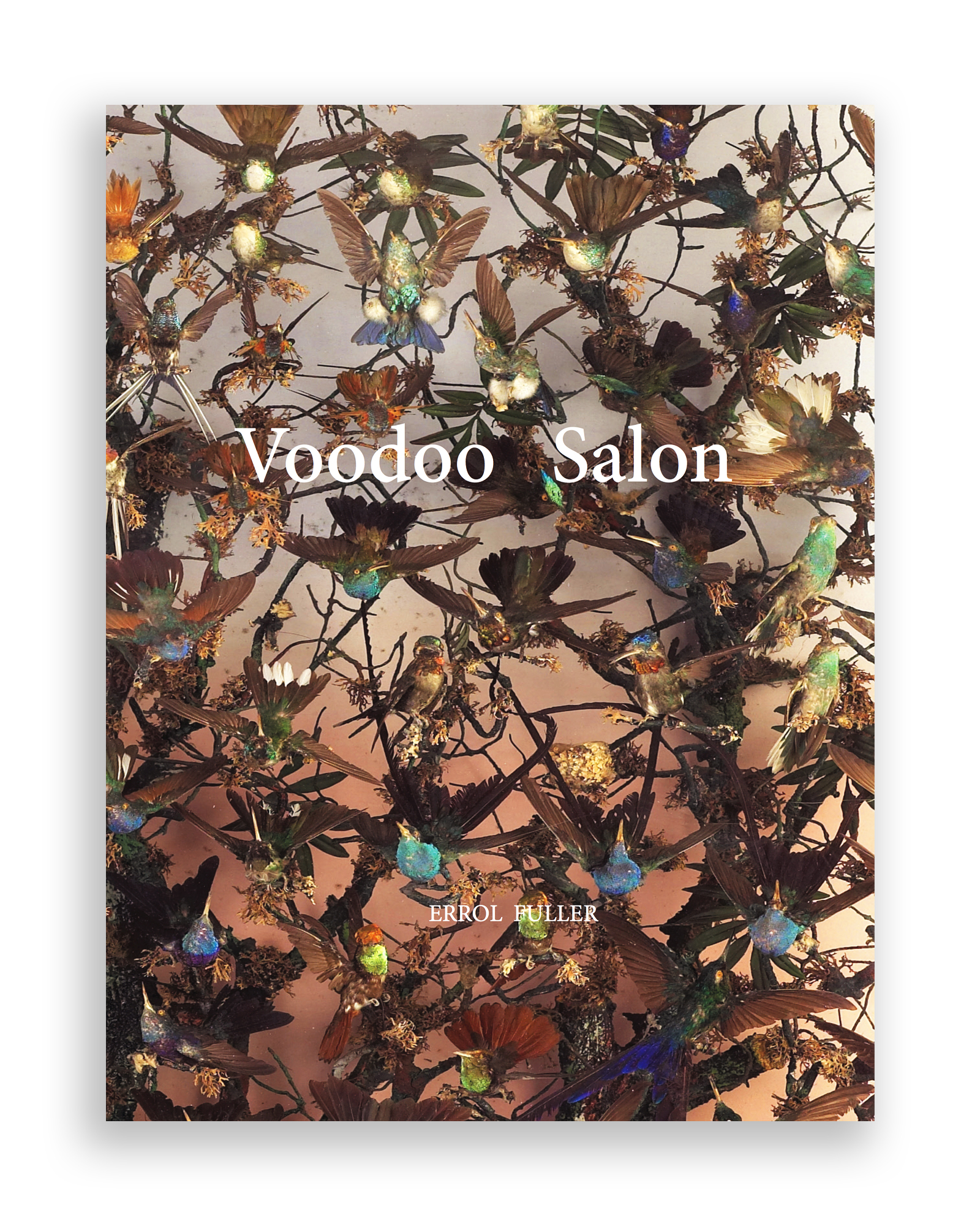 Voodoo Salon by Errol Fuller