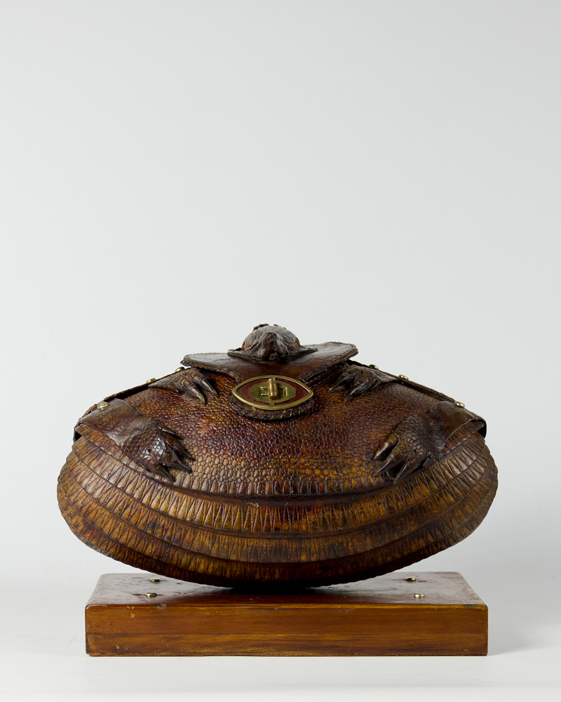 Taxidermy Armadillo Box