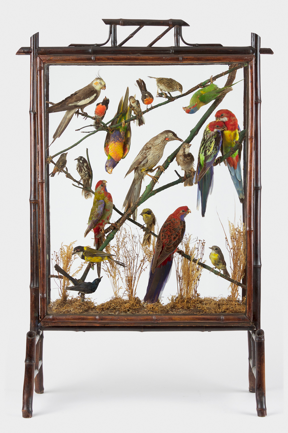 Australian Birds Bamboo Fire Screen 1850