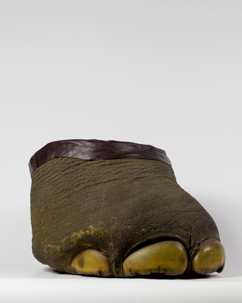 Taxidermy Elephant Foot