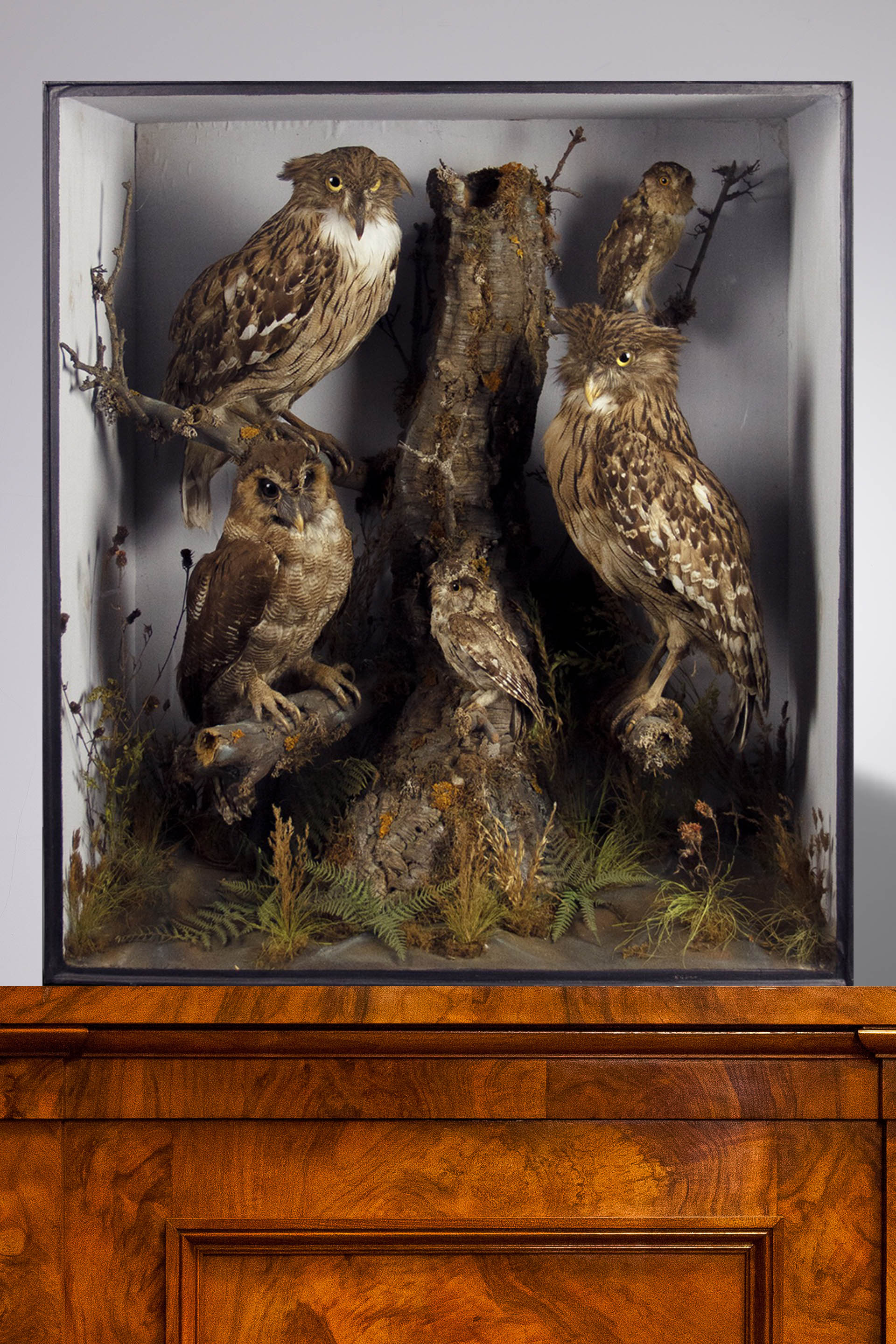 Fish owls by Roberts of Norwich