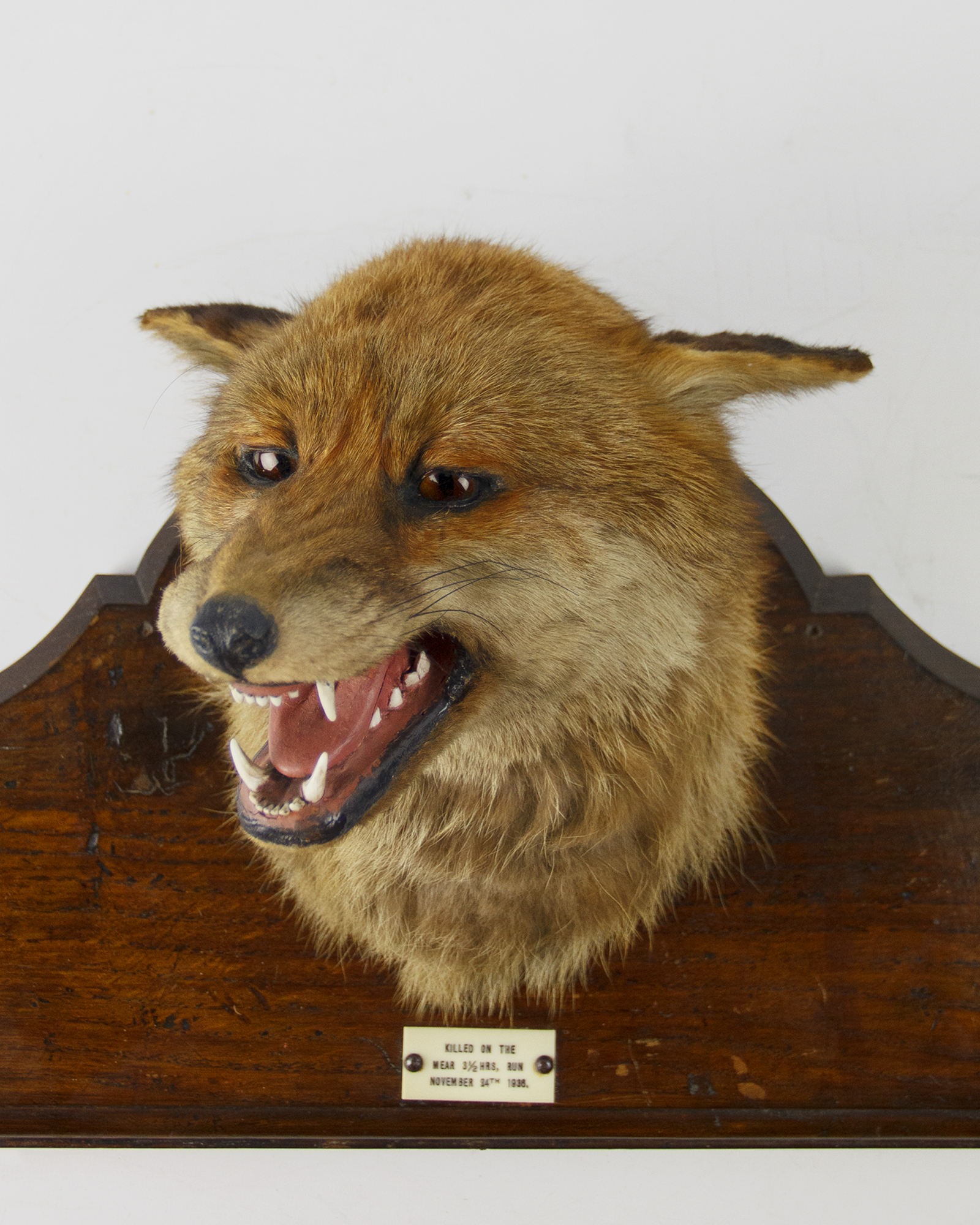 Fox mask coat rack