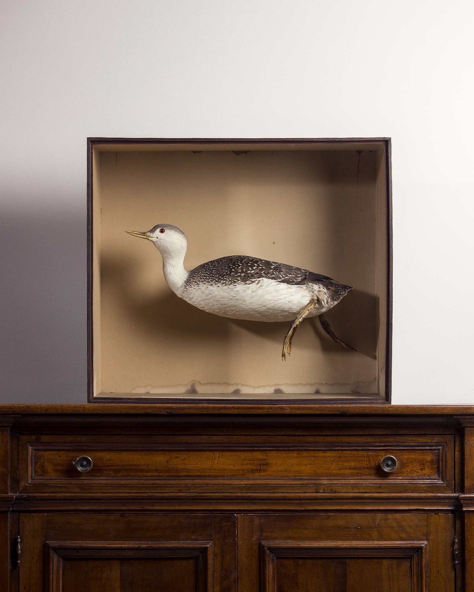 Diver Attributed To Cullingford