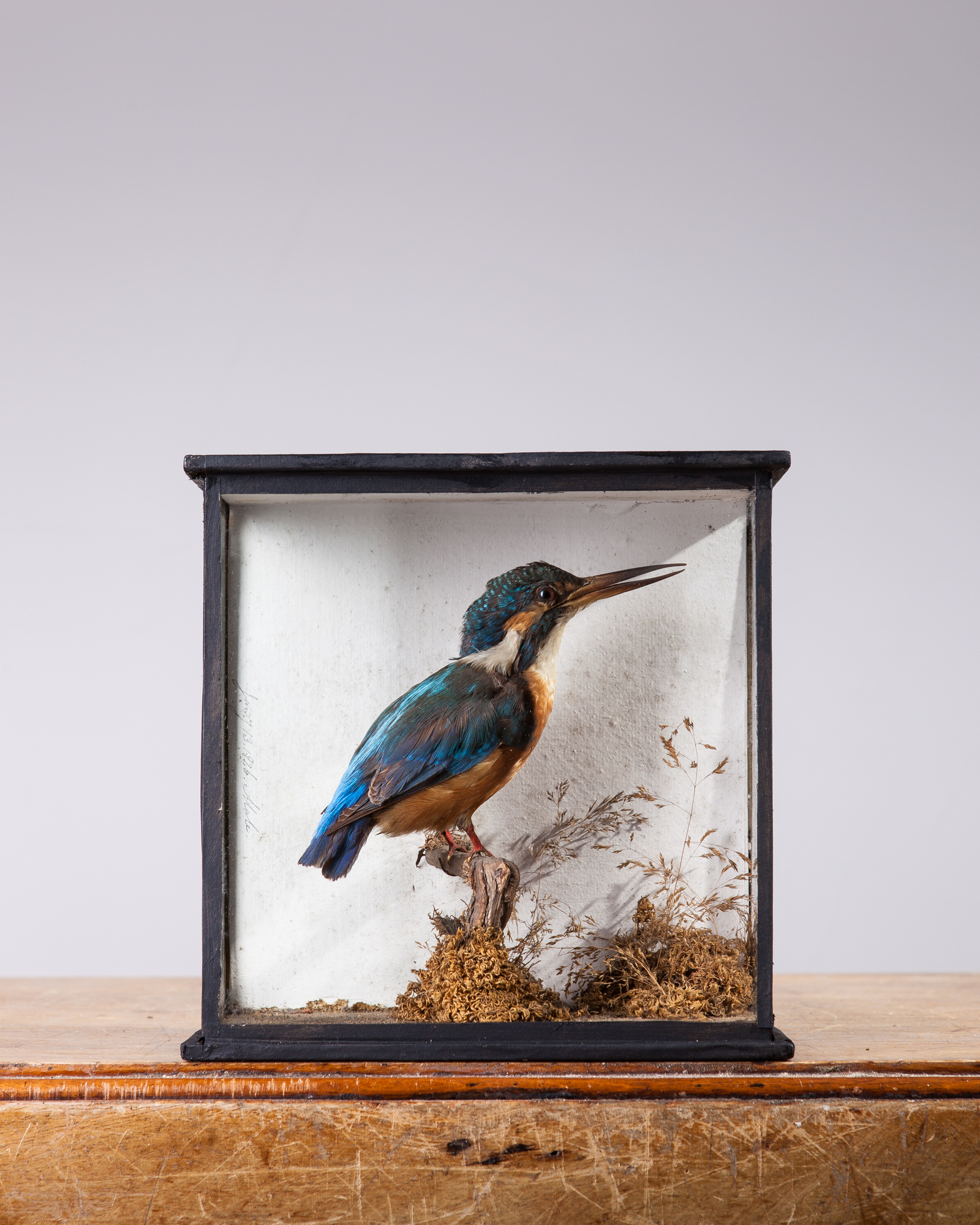 Georgian era Kingfisher by Corbett's of London dated 1826