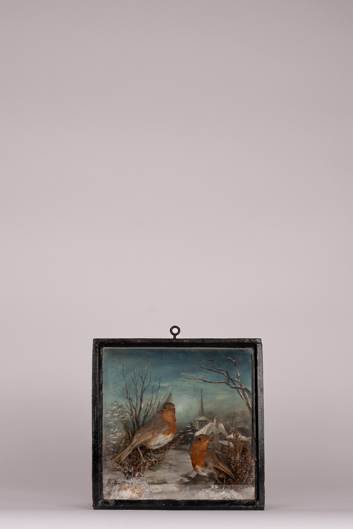 Naive Taxidermy Robins Case In The Manner Of Walter Potter