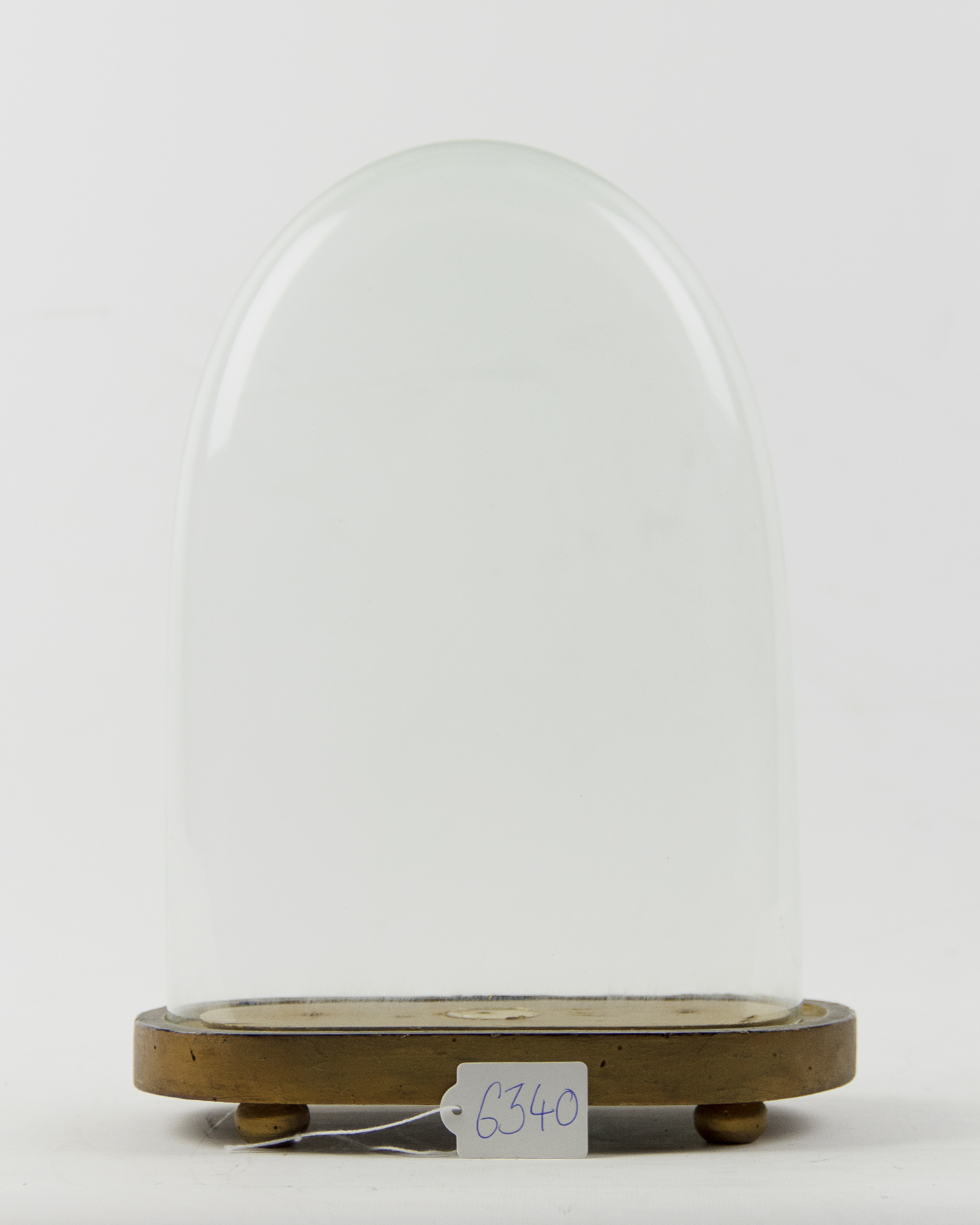Taxidermy Oval Glass Dome