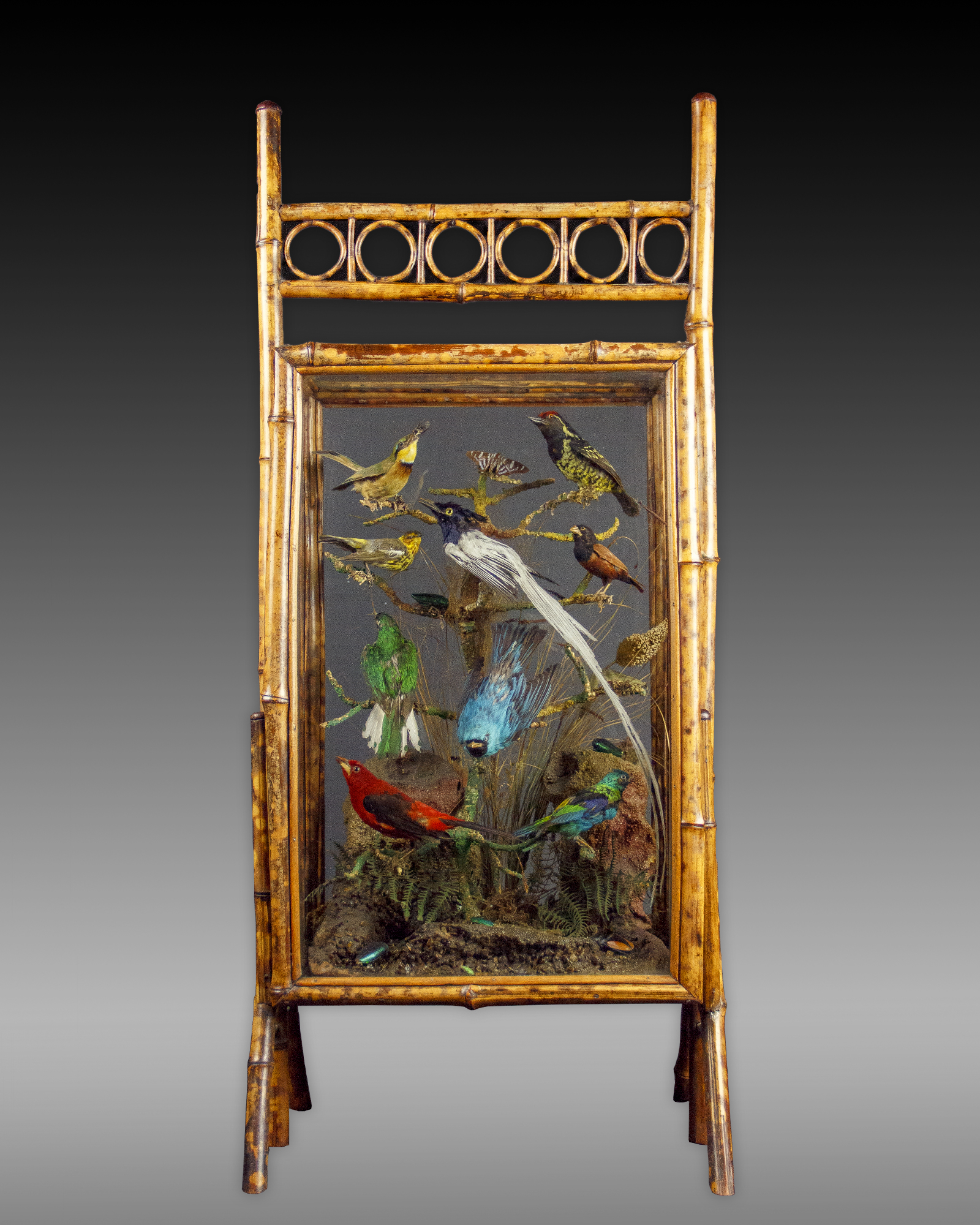 Bamboo Taxidermy Firescreen
