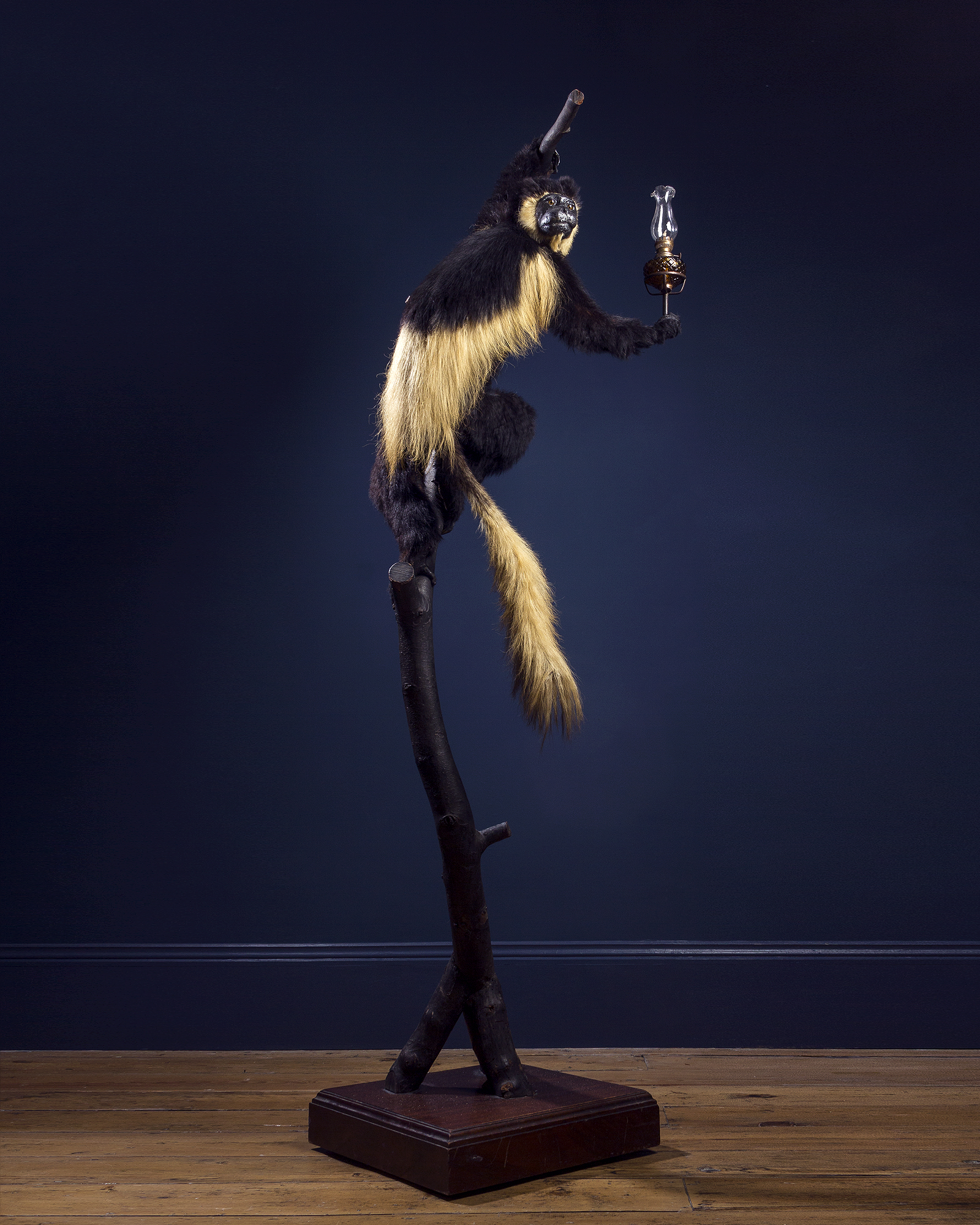 Taxidermy Black and white colobus monkey Lamp attributed to Ward