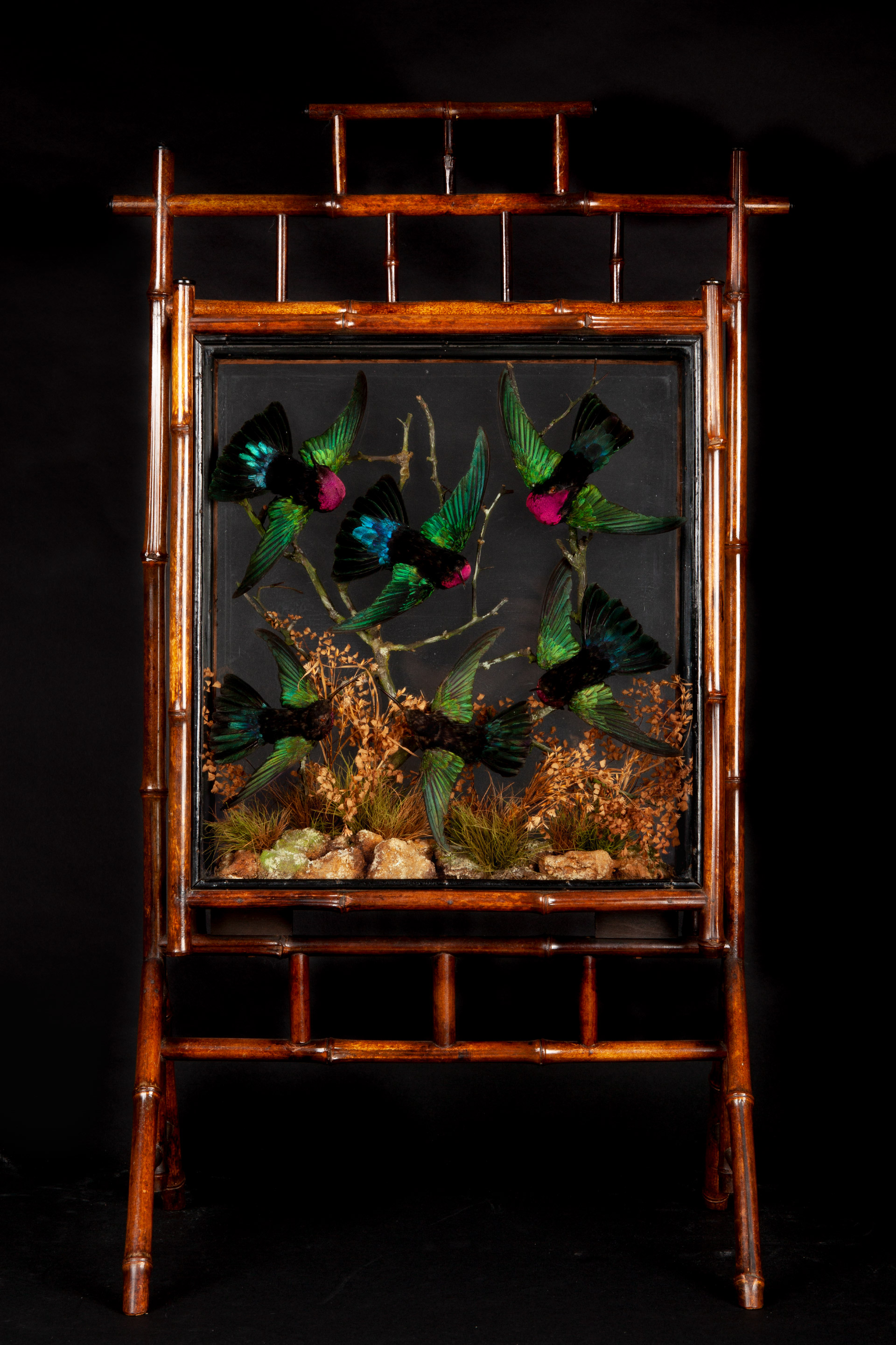Taxidermy Hummingbird firescreen circa 1880